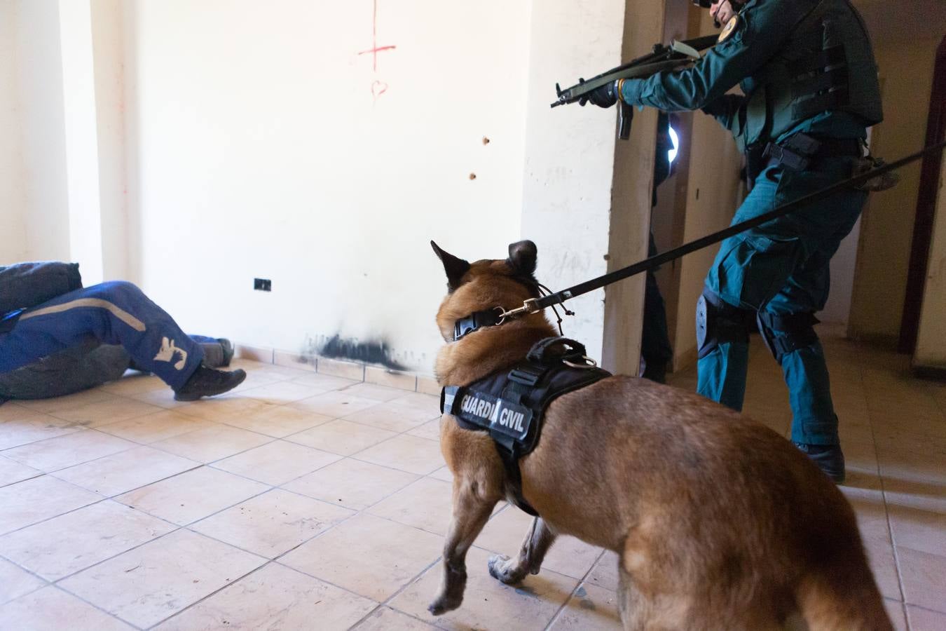 El Grupo de Acción Rápida (GAR) de la Guardia Civil y la Gendarmería Francesa están desarrollano unas jornadas prácticas en Logroño para implementar un nuevo sistema de detección de explosivos con perros en grandes concentraciones de personas, como eventos deportivos o musicales.