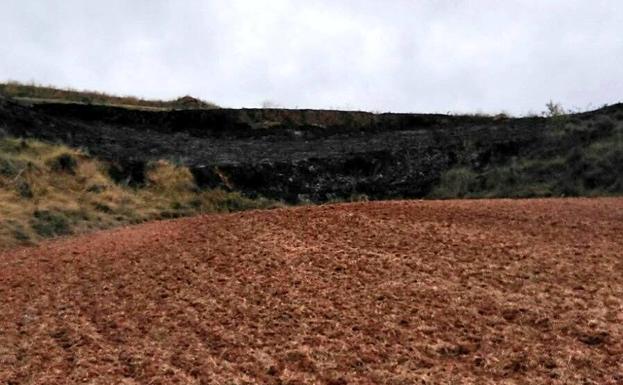 Zona afectada por las llamas. 