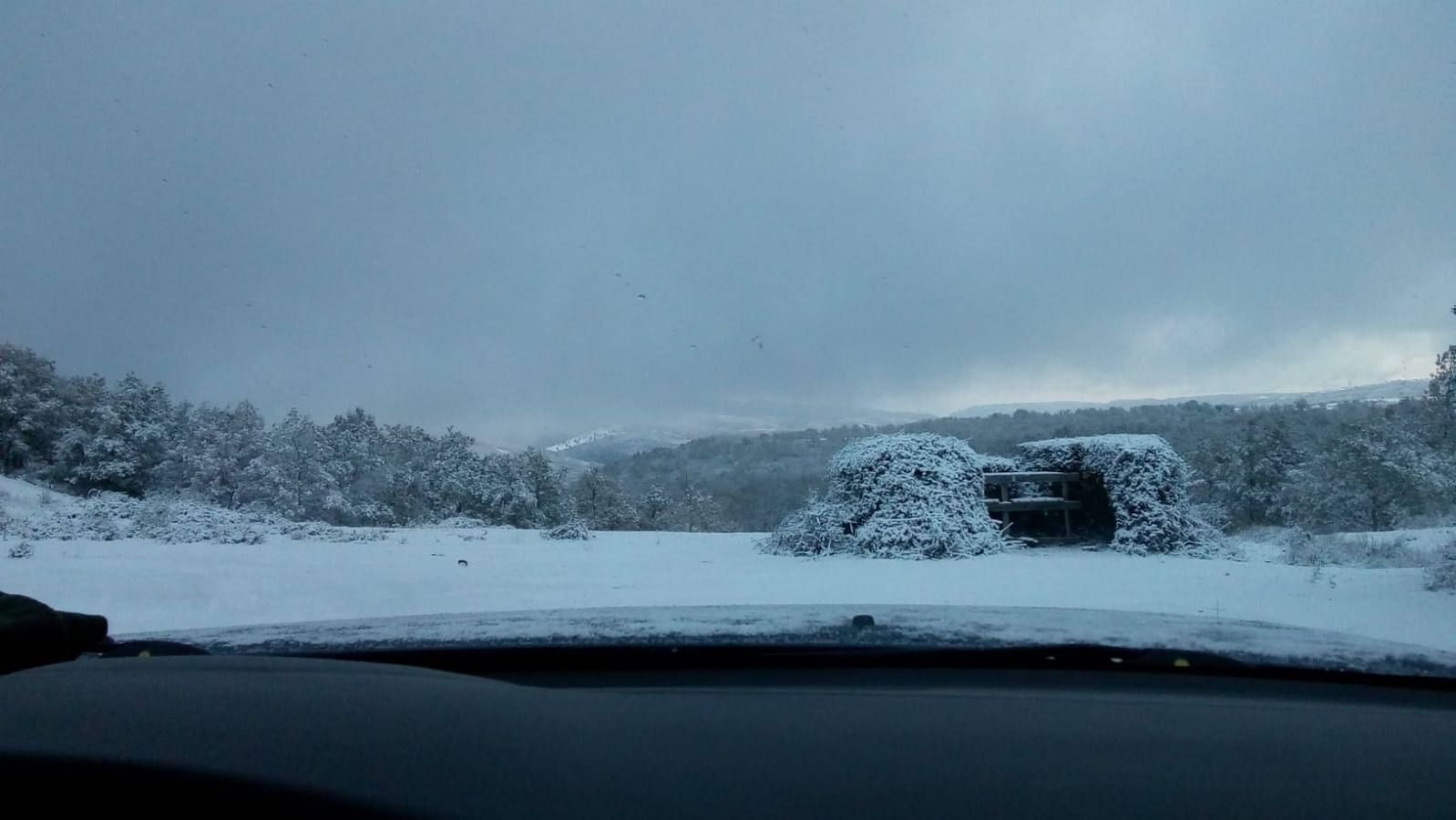 Nieve en Laguna de Cameros.