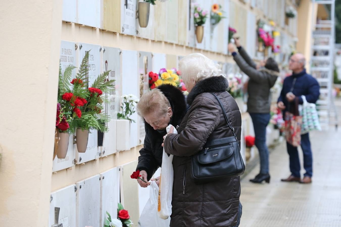 Decenas de logroñeses adornan con flores las tumbas de sus seres queridos con motivo del Día de Todos los Santos.