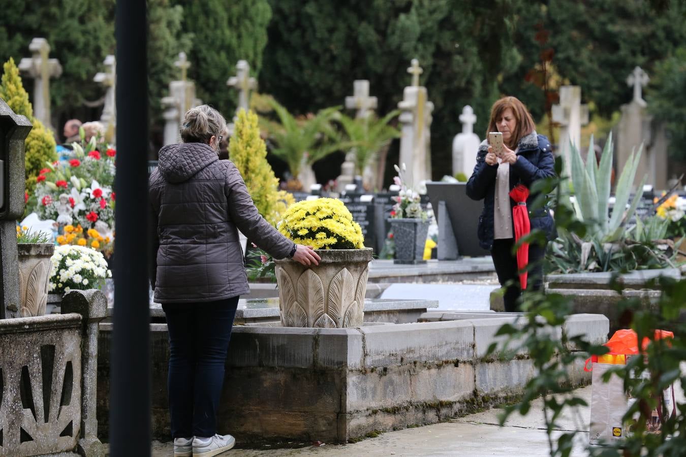 Decenas de logroñeses adornan con flores las tumbas de sus seres queridos con motivo del Día de Todos los Santos.