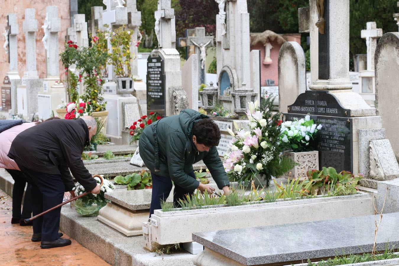 Decenas de logroñeses adornan con flores las tumbas de sus seres queridos con motivo del Día de Todos los Santos.