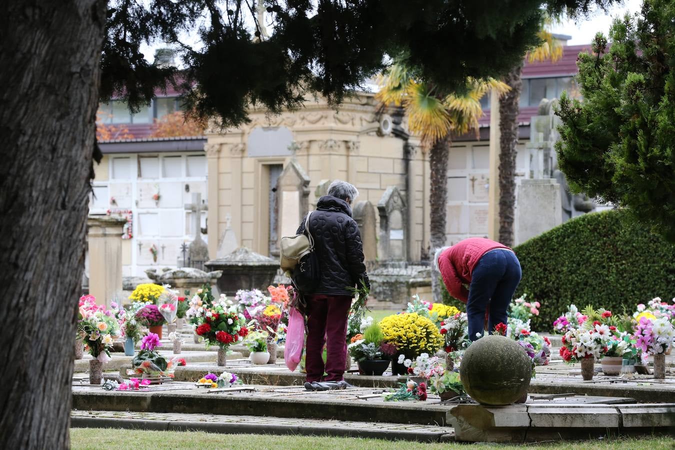 Decenas de logroñeses adornan con flores las tumbas de sus seres queridos con motivo del Día de Todos los Santos.