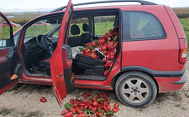 Detenidas dos riojanas por robar 400 kilos de pimientos en Viana