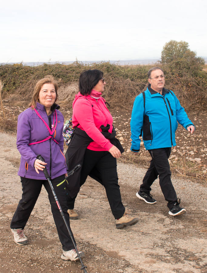 La iniciativa 'En marcha por la vida' ha reunido unas 650 personas para salir de paseo en una iniciativa organizada por la Asociación Española Contra el Cáncer de La Rioja, organizadora de la caminata que cubrió unos 12 kilómetros desde Santo Domingo de la Calzada y Hervías, y regreso. 