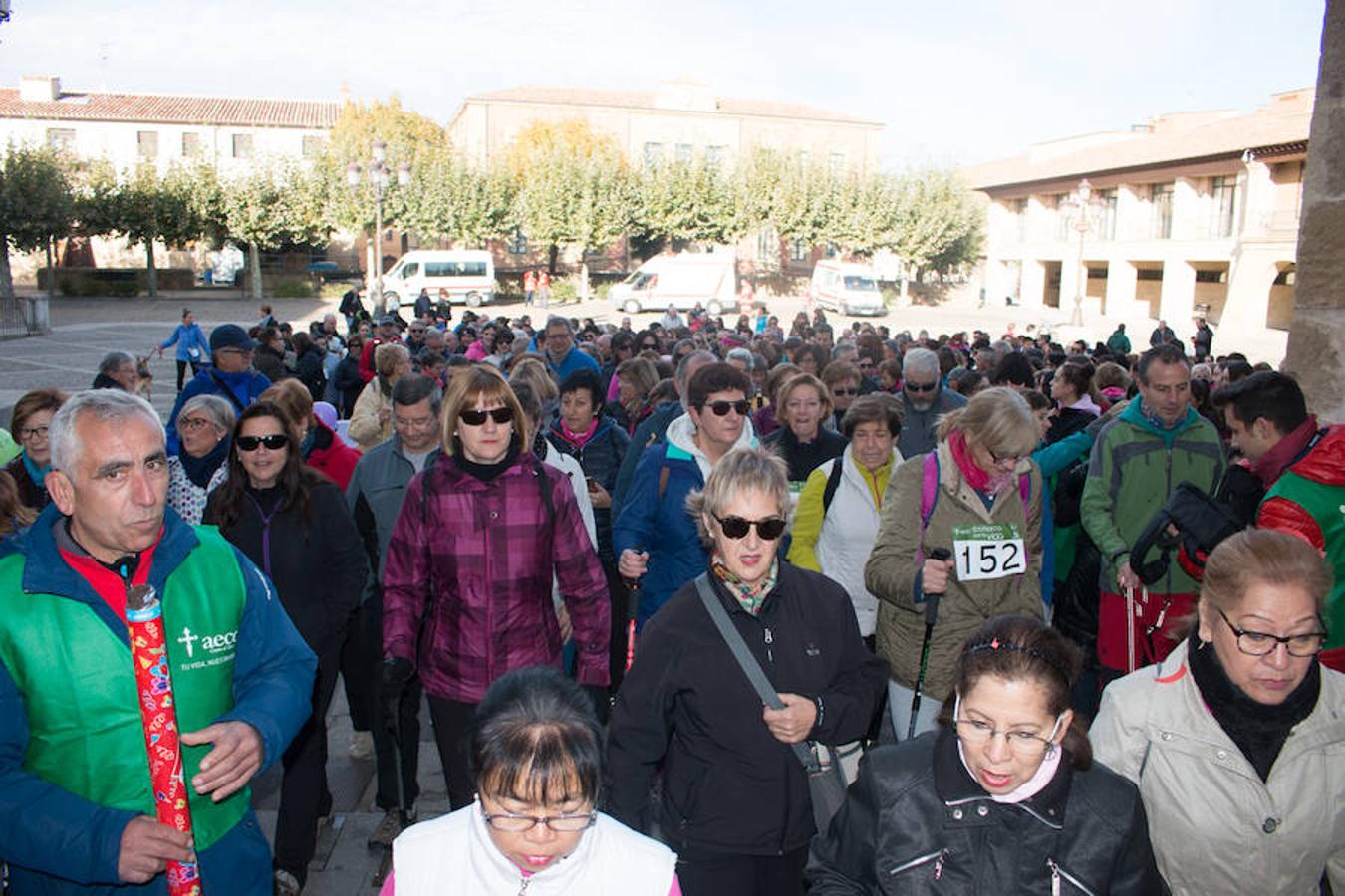 La iniciativa 'En marcha por la vida' ha reunido unas 650 personas para salir de paseo en una iniciativa organizada por la Asociación Española Contra el Cáncer de La Rioja, organizadora de la caminata que cubrió unos 12 kilómetros desde Santo Domingo de la Calzada y Hervías, y regreso. 