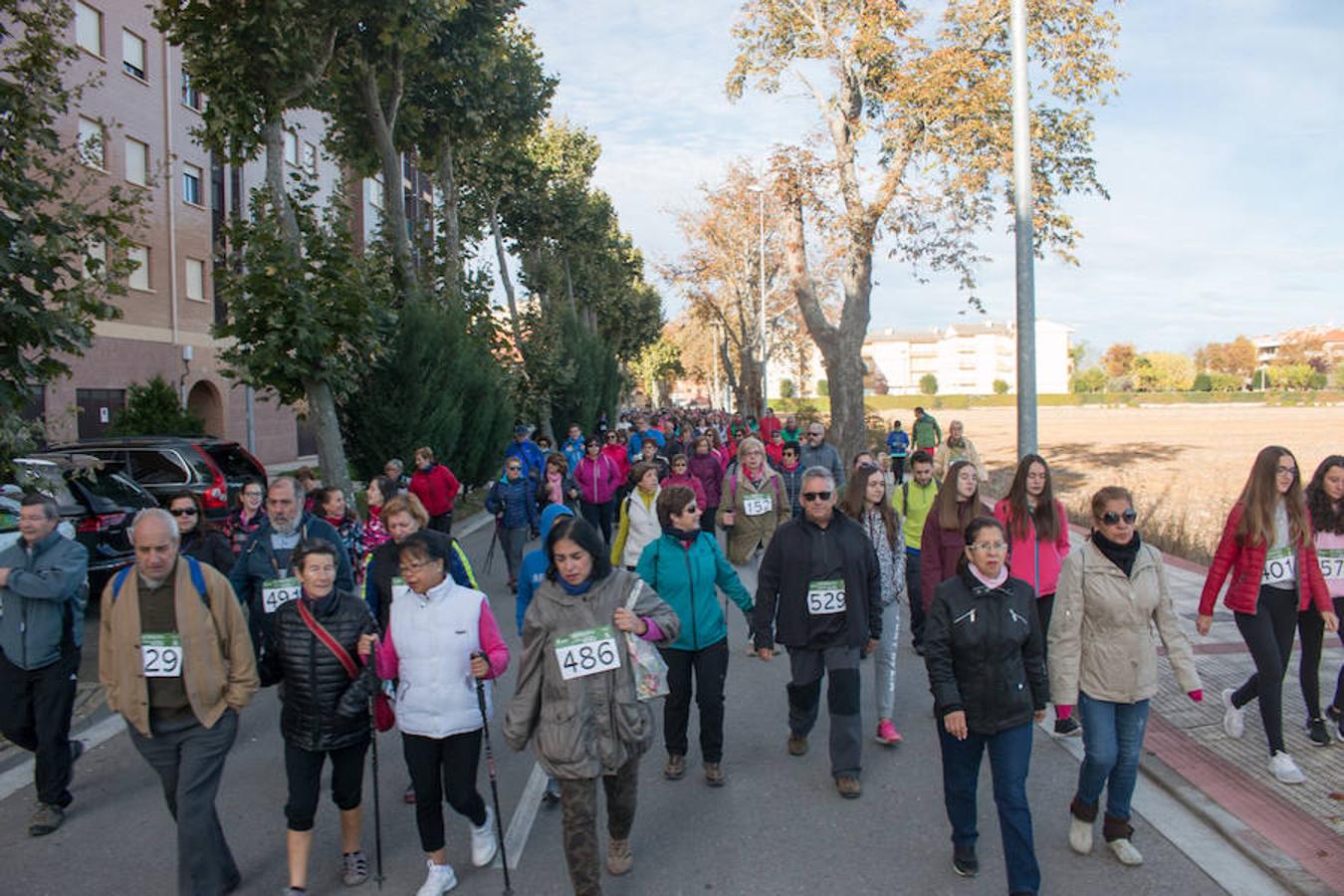 La iniciativa 'En marcha por la vida' ha reunido unas 650 personas para salir de paseo en una iniciativa organizada por la Asociación Española Contra el Cáncer de La Rioja, organizadora de la caminata que cubrió unos 12 kilómetros desde Santo Domingo de la Calzada y Hervías, y regreso. 