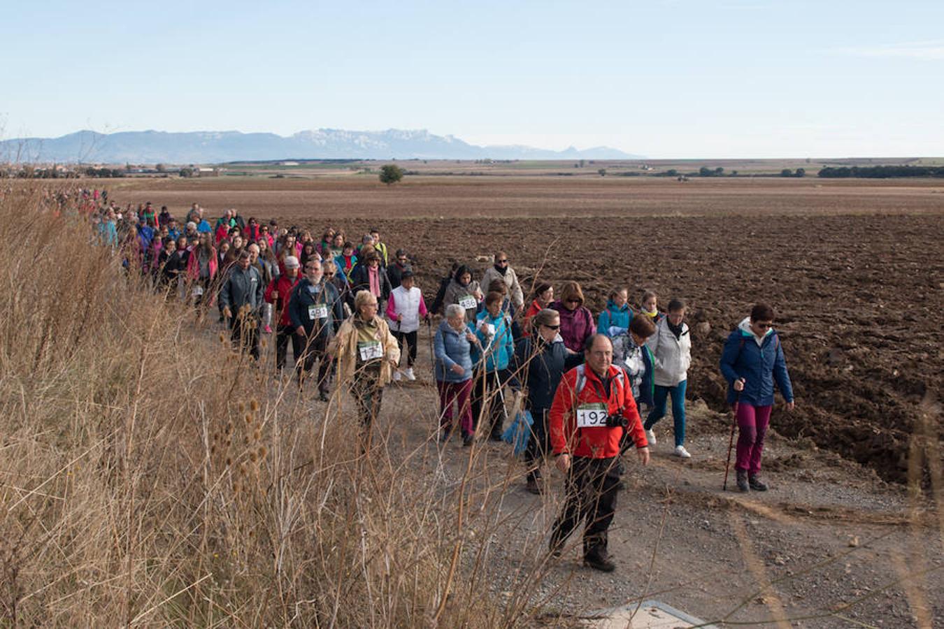 La iniciativa 'En marcha por la vida' ha reunido unas 650 personas para salir de paseo en una iniciativa organizada por la Asociación Española Contra el Cáncer de La Rioja, organizadora de la caminata que cubrió unos 12 kilómetros desde Santo Domingo de la Calzada y Hervías, y regreso. 