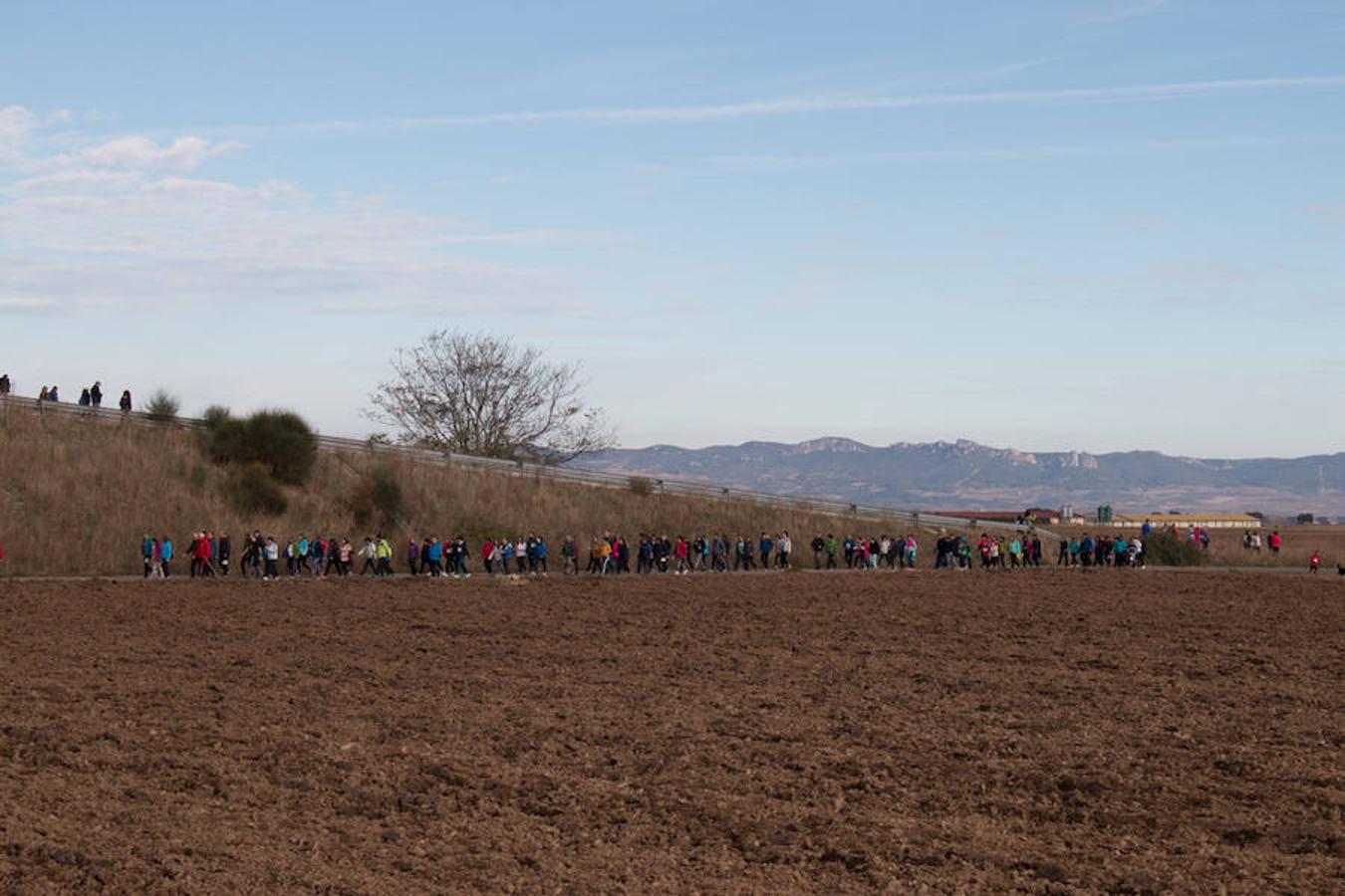 La iniciativa 'En marcha por la vida' ha reunido unas 650 personas para salir de paseo en una iniciativa organizada por la Asociación Española Contra el Cáncer de La Rioja, organizadora de la caminata que cubrió unos 12 kilómetros desde Santo Domingo de la Calzada y Hervías, y regreso. 