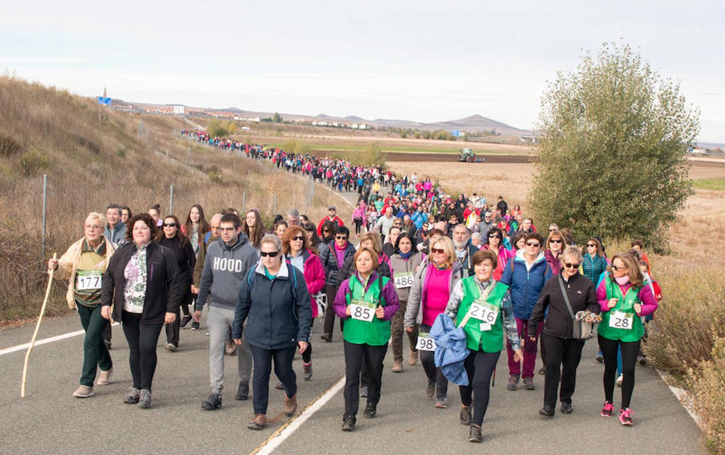 La iniciativa 'En marcha por la vida' ha reunido unas 650 personas para salir de paseo en una iniciativa organizada por la Asociación Española Contra el Cáncer de La Rioja, organizadora de la caminata que cubrió unos 12 kilómetros desde Santo Domingo de la Calzada y Hervías, y regreso. 