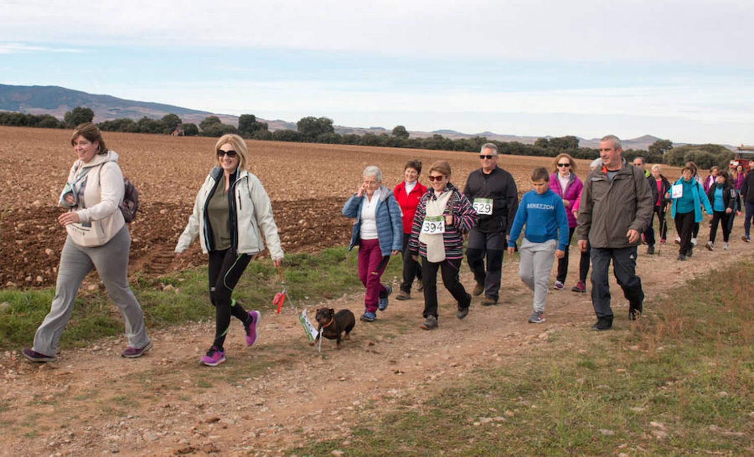 La iniciativa 'En marcha por la vida' ha reunido unas 650 personas para salir de paseo en una iniciativa organizada por la Asociación Española Contra el Cáncer de La Rioja, organizadora de la caminata que cubrió unos 12 kilómetros desde Santo Domingo de la Calzada y Hervías, y regreso. 