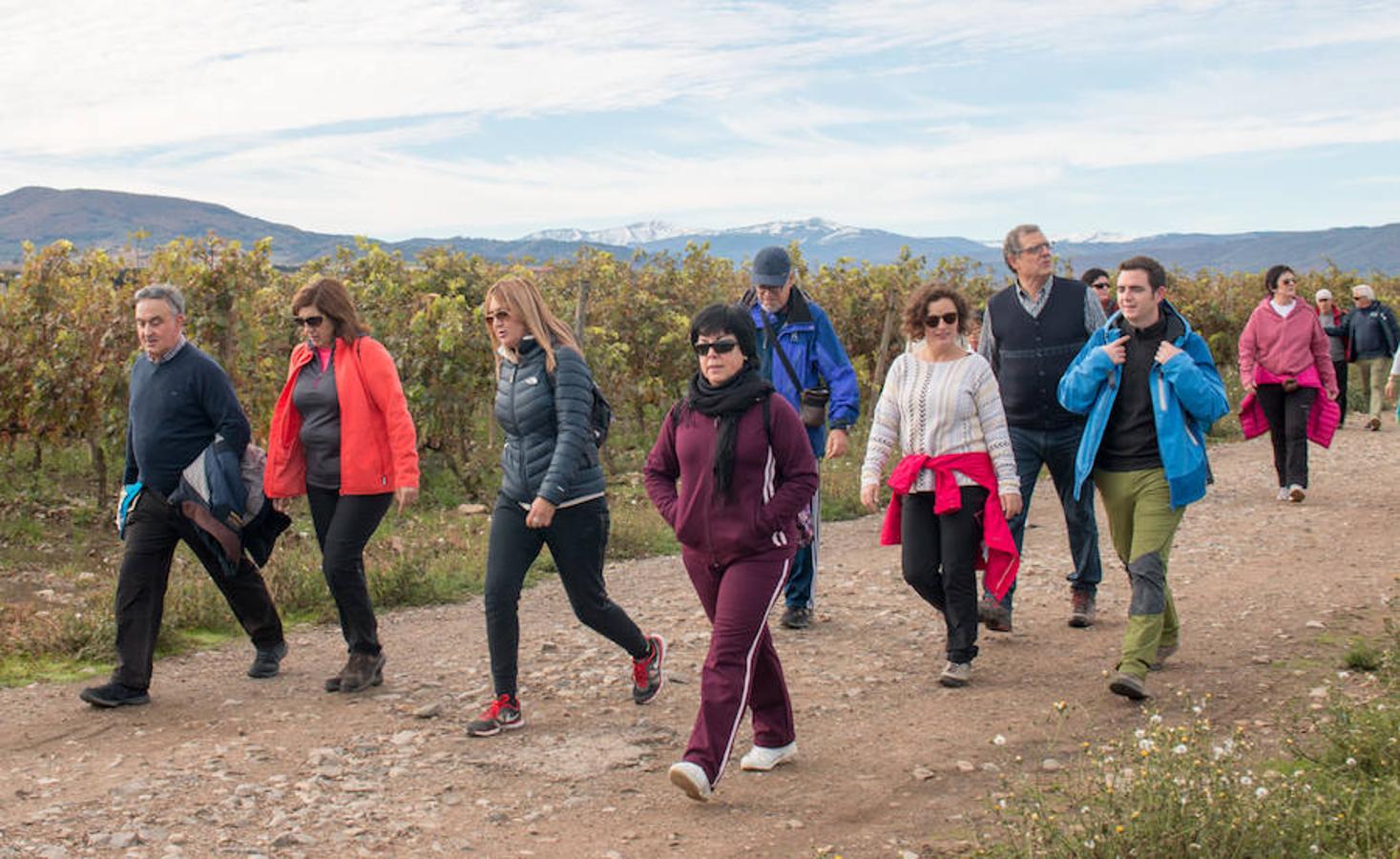 La iniciativa 'En marcha por la vida' ha reunido unas 650 personas para salir de paseo en una iniciativa organizada por la Asociación Española Contra el Cáncer de La Rioja, organizadora de la caminata que cubrió unos 12 kilómetros desde Santo Domingo de la Calzada y Hervías, y regreso. 