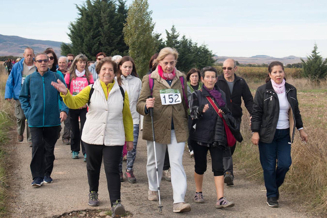 La iniciativa 'En marcha por la vida' ha reunido unas 650 personas para salir de paseo en una iniciativa organizada por la Asociación Española Contra el Cáncer de La Rioja, organizadora de la caminata que cubrió unos 12 kilómetros desde Santo Domingo de la Calzada y Hervías, y regreso. 