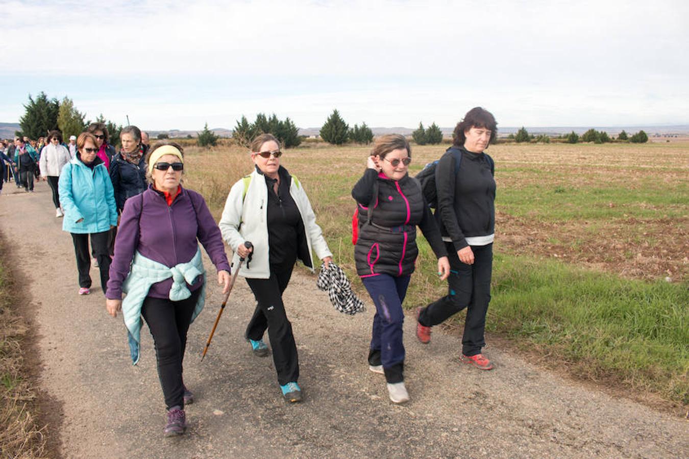 La iniciativa 'En marcha por la vida' ha reunido unas 650 personas para salir de paseo en una iniciativa organizada por la Asociación Española Contra el Cáncer de La Rioja, organizadora de la caminata que cubrió unos 12 kilómetros desde Santo Domingo de la Calzada y Hervías, y regreso. 