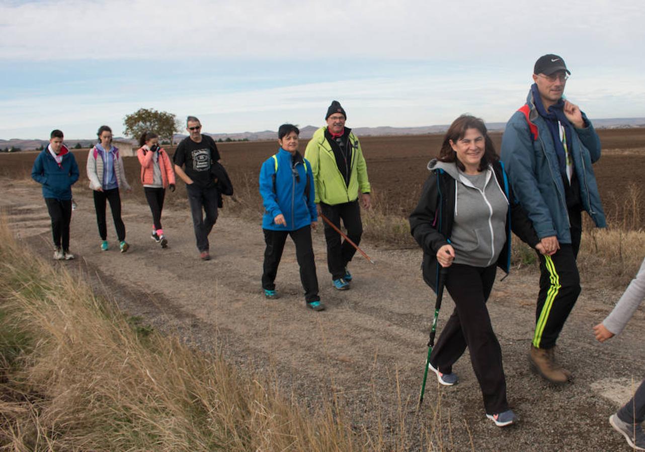 La iniciativa 'En marcha por la vida' ha reunido unas 650 personas para salir de paseo en una iniciativa organizada por la Asociación Española Contra el Cáncer de La Rioja, organizadora de la caminata que cubrió unos 12 kilómetros desde Santo Domingo de la Calzada y Hervías, y regreso. 