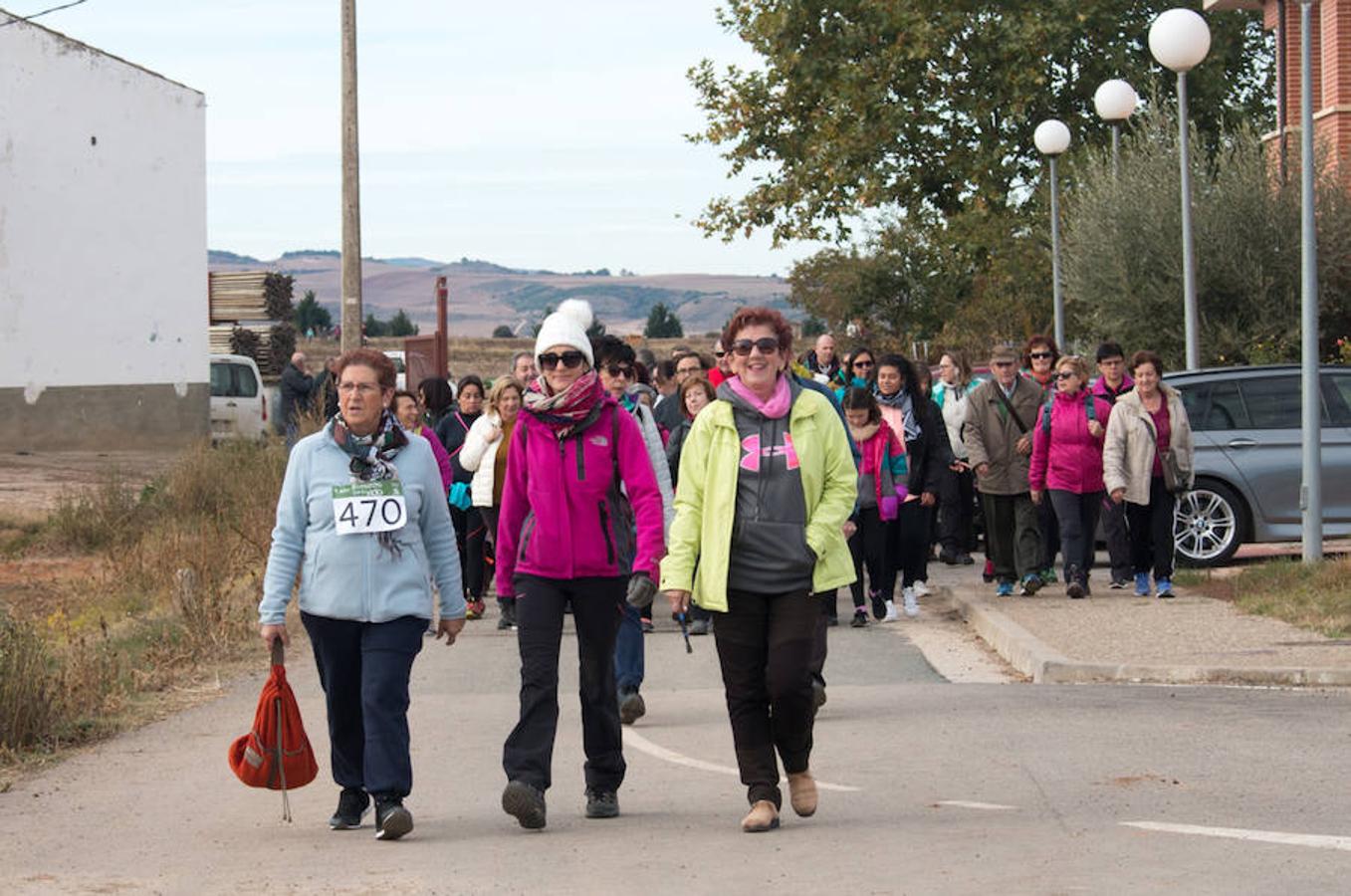 La iniciativa 'En marcha por la vida' ha reunido unas 650 personas para salir de paseo en una iniciativa organizada por la Asociación Española Contra el Cáncer de La Rioja, organizadora de la caminata que cubrió unos 12 kilómetros desde Santo Domingo de la Calzada y Hervías, y regreso. 