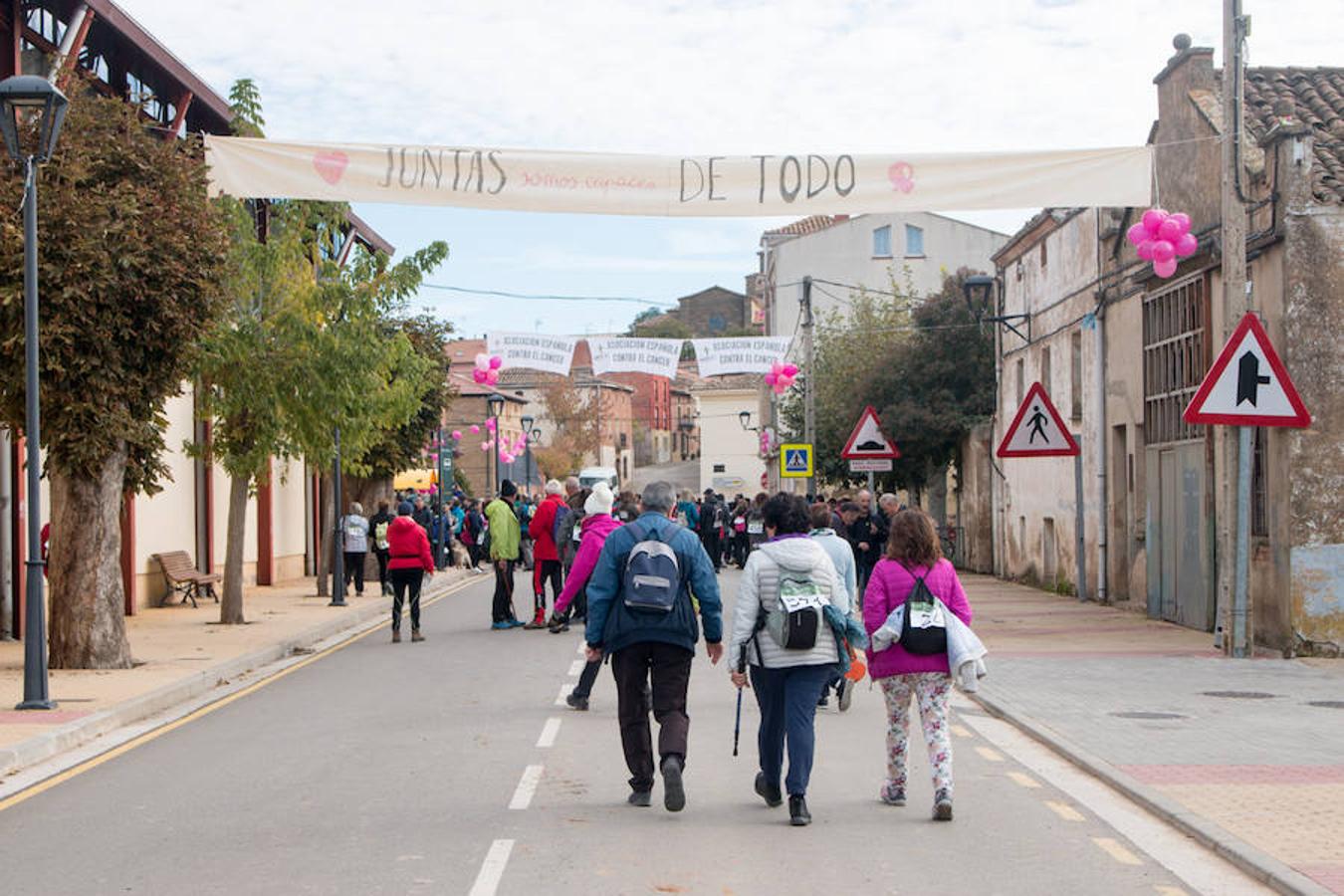 La iniciativa 'En marcha por la vida' ha reunido unas 650 personas para salir de paseo en una iniciativa organizada por la Asociación Española Contra el Cáncer de La Rioja, organizadora de la caminata que cubrió unos 12 kilómetros desde Santo Domingo de la Calzada y Hervías, y regreso. 