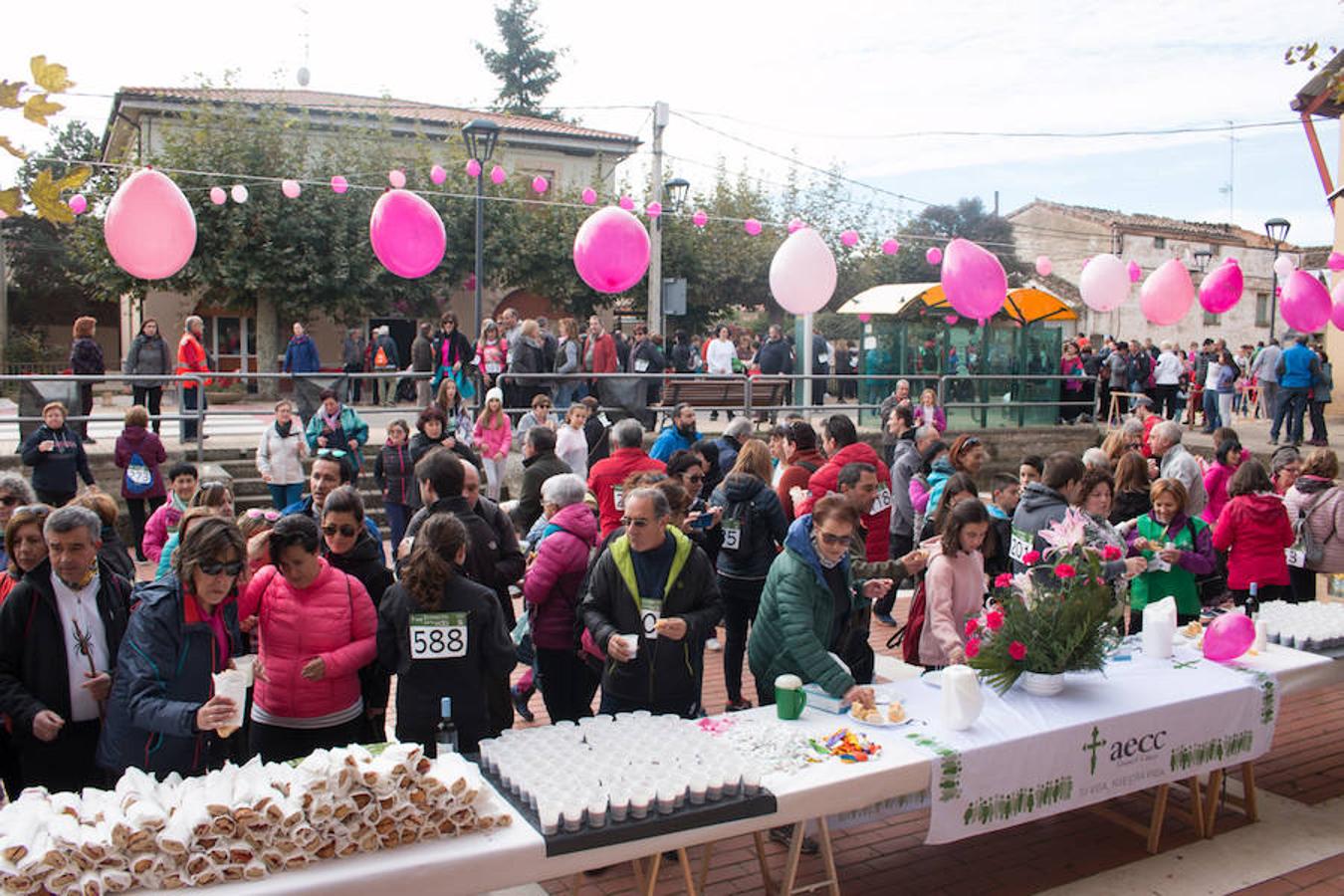 La iniciativa 'En marcha por la vida' ha reunido unas 650 personas para salir de paseo en una iniciativa organizada por la Asociación Española Contra el Cáncer de La Rioja, organizadora de la caminata que cubrió unos 12 kilómetros desde Santo Domingo de la Calzada y Hervías, y regreso. 