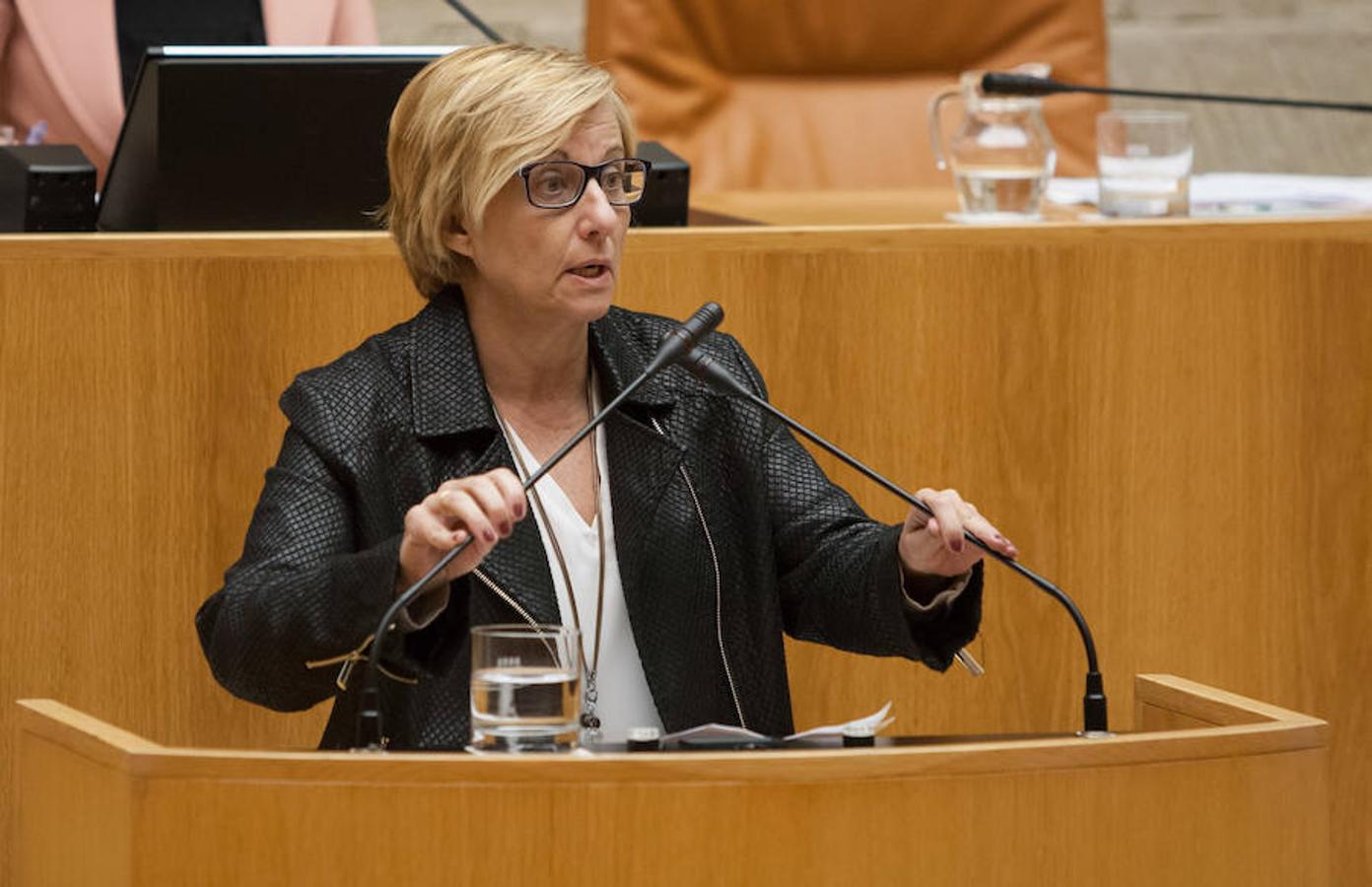 El presidente del Gobierno de La Rioja, José Ignacio Ceniceros ha respondido en el pleno del Parlamento regional a cuestiones sobre el reto demográfico, la economía en la región, el empleo público y el salario mínimo interprofesional (SMI). Parlamento.