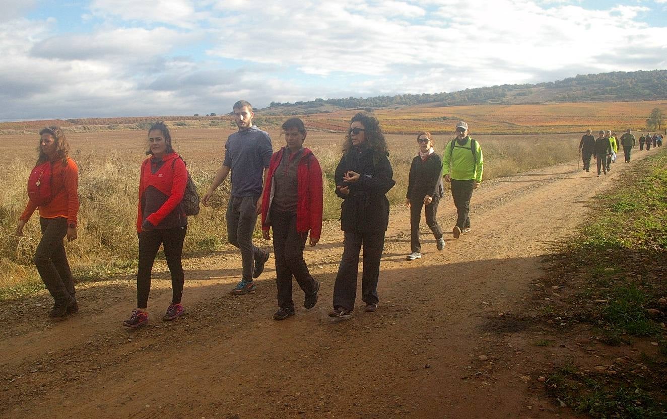 Alrededor de 150 personas estaban inscritas para tomar parte en una nueva edición de la 'Marcha de otoño', que tuvo lugar en Cenicero