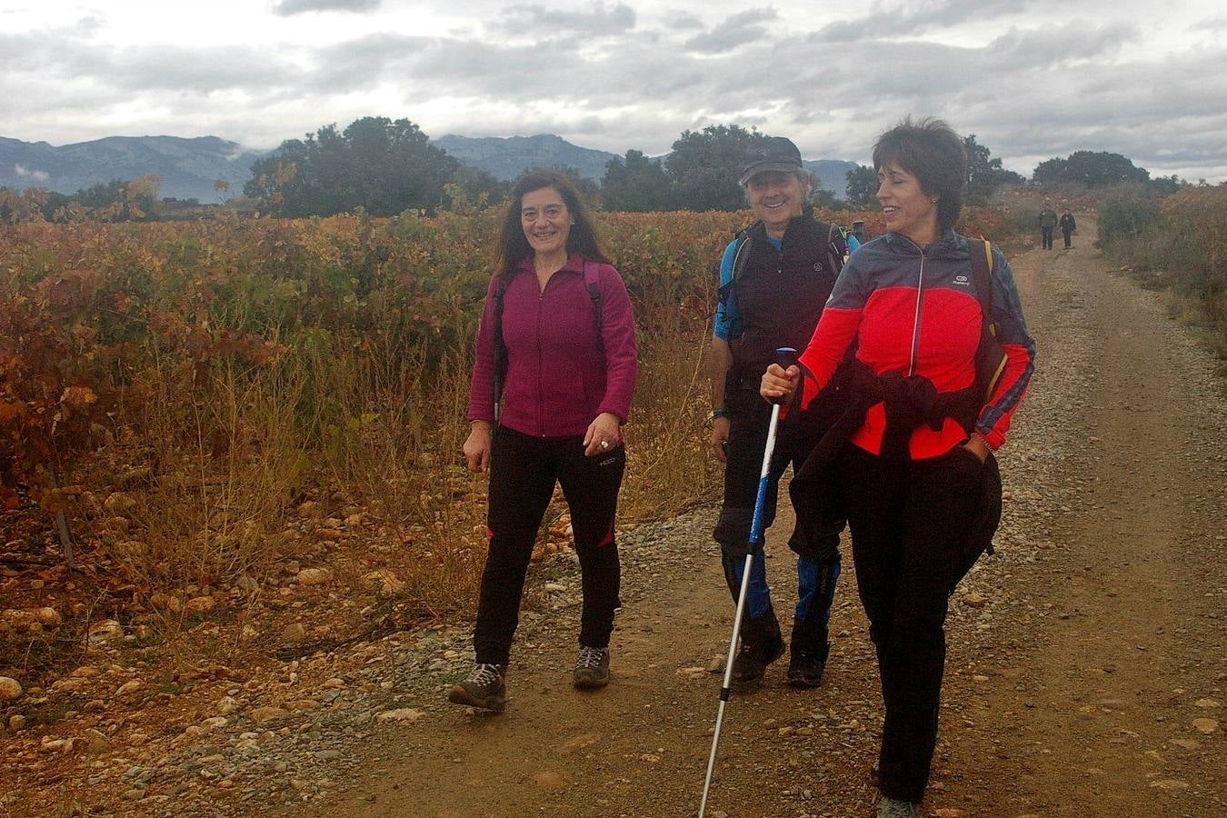 Alrededor de 150 personas estaban inscritas para tomar parte en una nueva edición de la 'Marcha de otoño', que tuvo lugar en Cenicero