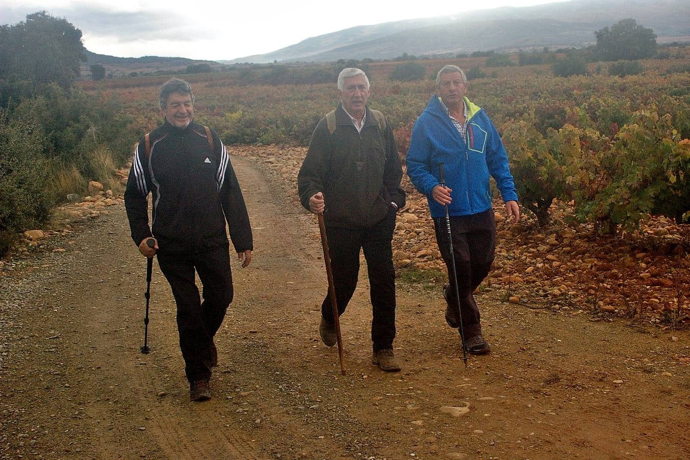 Alrededor de 150 personas estaban inscritas para tomar parte en una nueva edición de la 'Marcha de otoño', que tuvo lugar en Cenicero