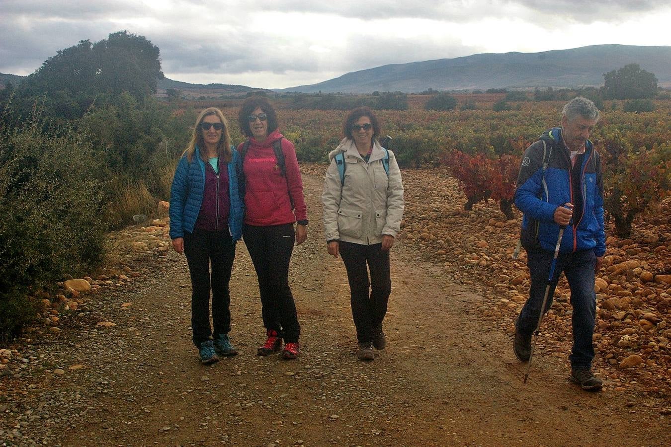 Alrededor de 150 personas estaban inscritas para tomar parte en una nueva edición de la 'Marcha de otoño', que tuvo lugar en Cenicero