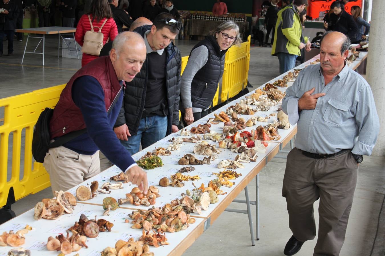 Fotos: XXVIII Jornadas Micologicas de Arnedillo