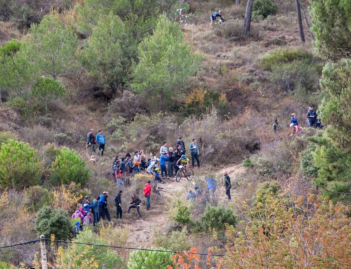 Fotos: Final del Open Diario de Navarra de XC en Estella