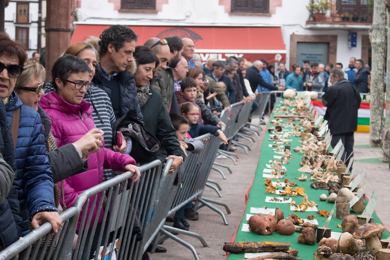 Imágenes de las XXVII Jornadas Micológicas, organizadas por la asociación Amigos de Ezcaray