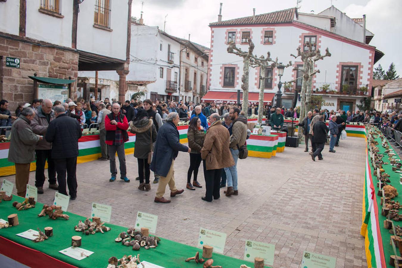 Imágenes de las XXVII Jornadas Micológicas, organizadas por la asociación Amigos de Ezcaray