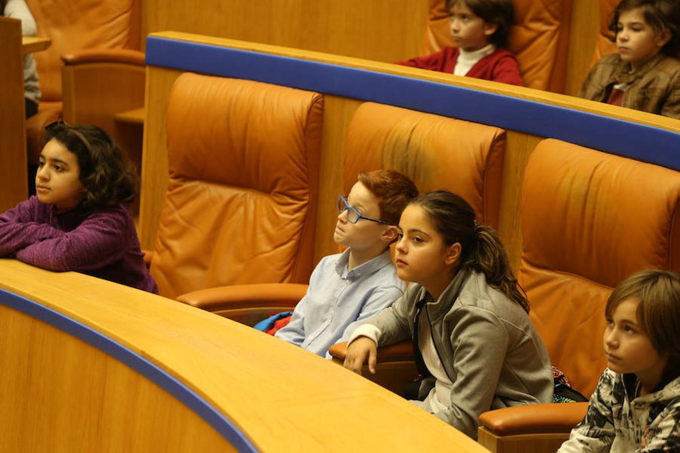 Un grupo de escolares de quinto de Primaria del Colegio Villapatro de Lardero han leído hoy, en el Parlamento de La Rioja, unos manifiestos, que previamente habían redactado junto a sus profesores, sobre cuatro derechos de la infancia en el acto del Día del Niño.