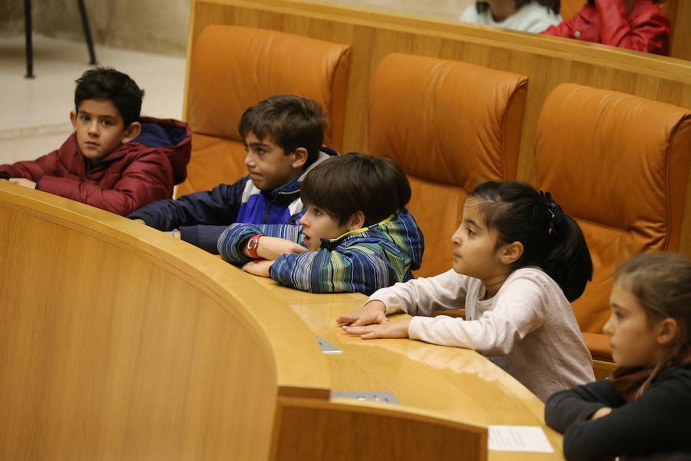 Un grupo de escolares de quinto de Primaria del Colegio Villapatro de Lardero han leído hoy, en el Parlamento de La Rioja, unos manifiestos, que previamente habían redactado junto a sus profesores, sobre cuatro derechos de la infancia en el acto del Día del Niño.