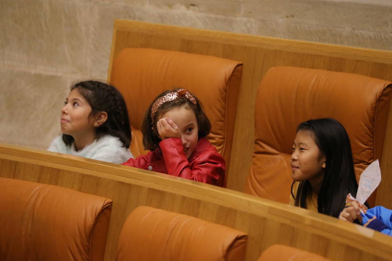 Un grupo de escolares de quinto de Primaria del Colegio Villapatro de Lardero han leído hoy, en el Parlamento de La Rioja, unos manifiestos, que previamente habían redactado junto a sus profesores, sobre cuatro derechos de la infancia en el acto del Día del Niño.