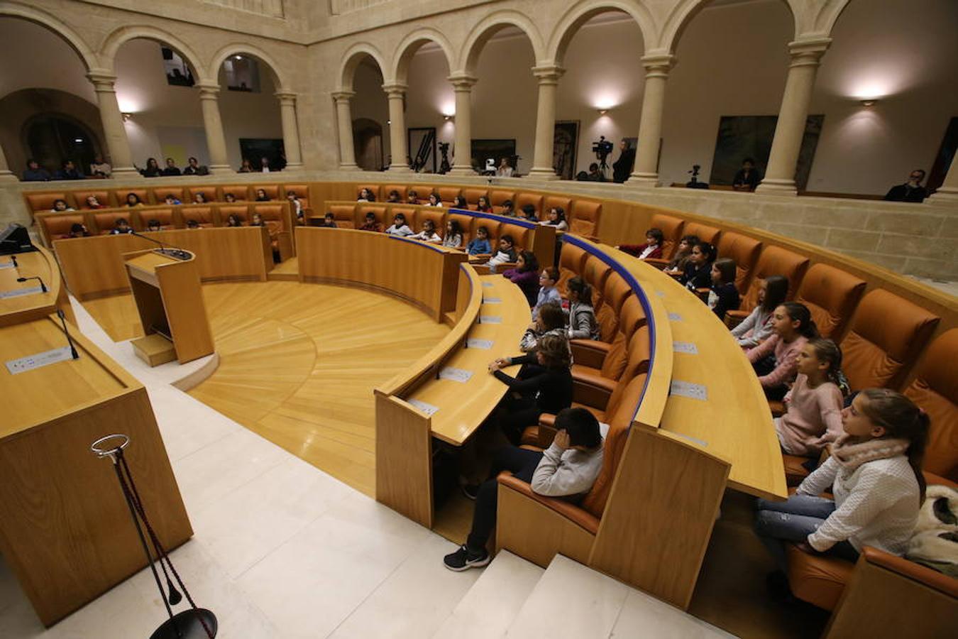 Un grupo de escolares de quinto de Primaria del Colegio Villapatro de Lardero han leído hoy, en el Parlamento de La Rioja, unos manifiestos, que previamente habían redactado junto a sus profesores, sobre cuatro derechos de la infancia en el acto del Día del Niño.