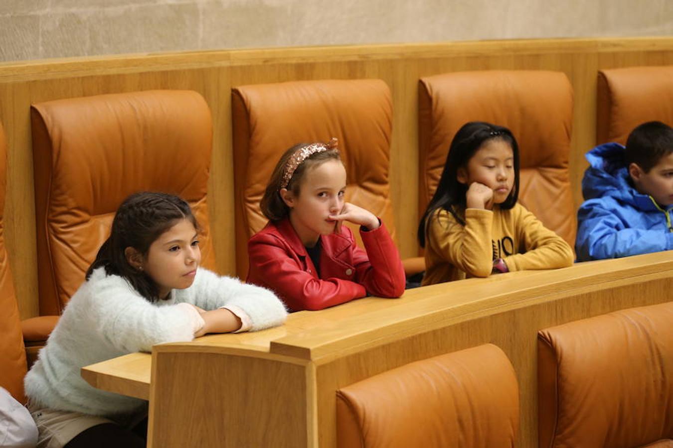 Un grupo de escolares de quinto de Primaria del Colegio Villapatro de Lardero han leído hoy, en el Parlamento de La Rioja, unos manifiestos, que previamente habían redactado junto a sus profesores, sobre cuatro derechos de la infancia en el acto del Día del Niño.