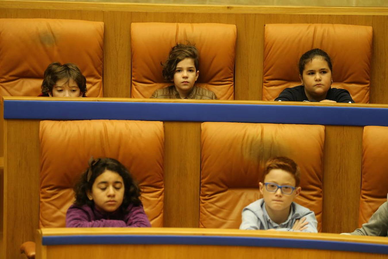 Un grupo de escolares de quinto de Primaria del Colegio Villapatro de Lardero han leído hoy, en el Parlamento de La Rioja, unos manifiestos, que previamente habían redactado junto a sus profesores, sobre cuatro derechos de la infancia en el acto del Día del Niño.