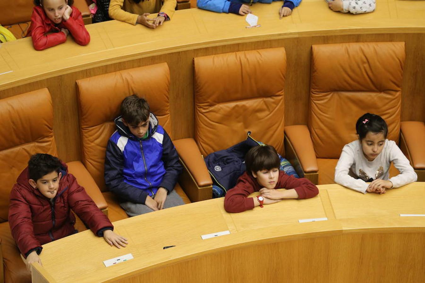 Un grupo de escolares de quinto de Primaria del Colegio Villapatro de Lardero han leído hoy, en el Parlamento de La Rioja, unos manifiestos, que previamente habían redactado junto a sus profesores, sobre cuatro derechos de la infancia en el acto del Día del Niño.