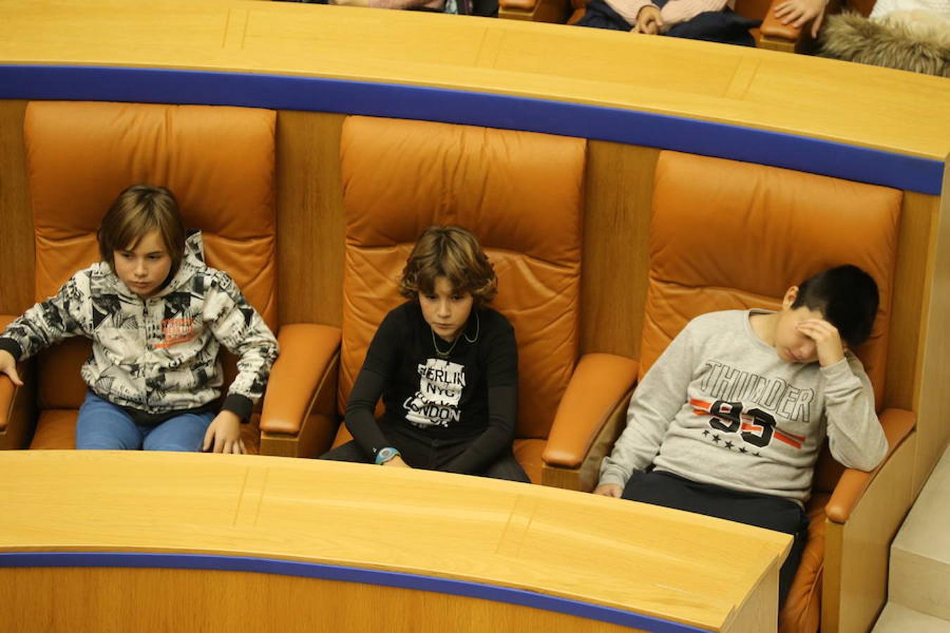 Un grupo de escolares de quinto de Primaria del Colegio Villapatro de Lardero han leído hoy, en el Parlamento de La Rioja, unos manifiestos, que previamente habían redactado junto a sus profesores, sobre cuatro derechos de la infancia en el acto del Día del Niño.