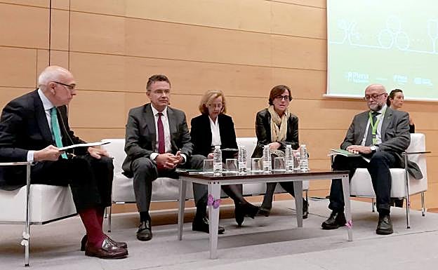 Debate en el congreso sobre personas con discapacidad intelectual. 