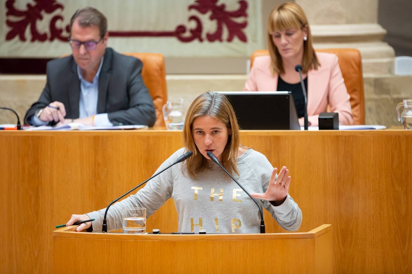 El Pleno del Parlamento aprueba la ILP de protección a los animales