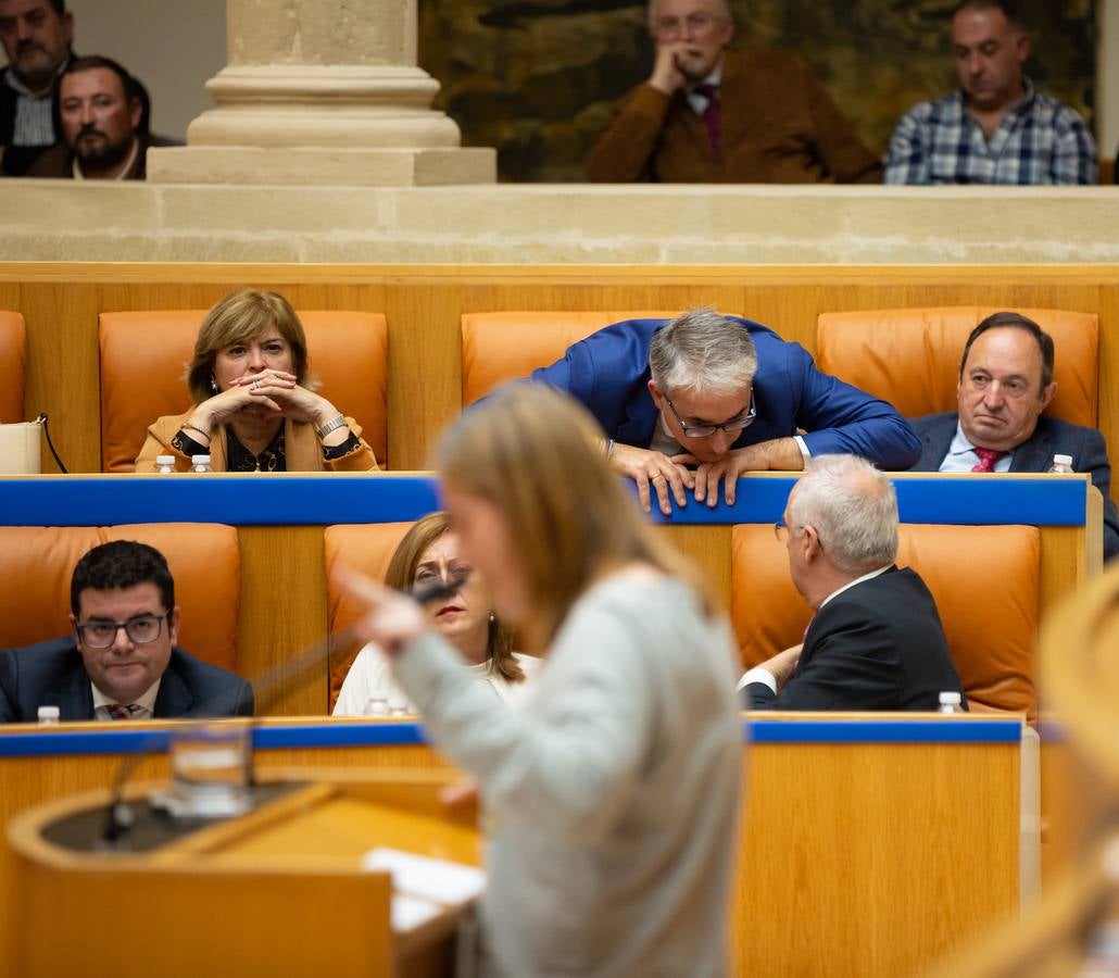 El Pleno del Parlamento aprueba la ILP de protección a los animales