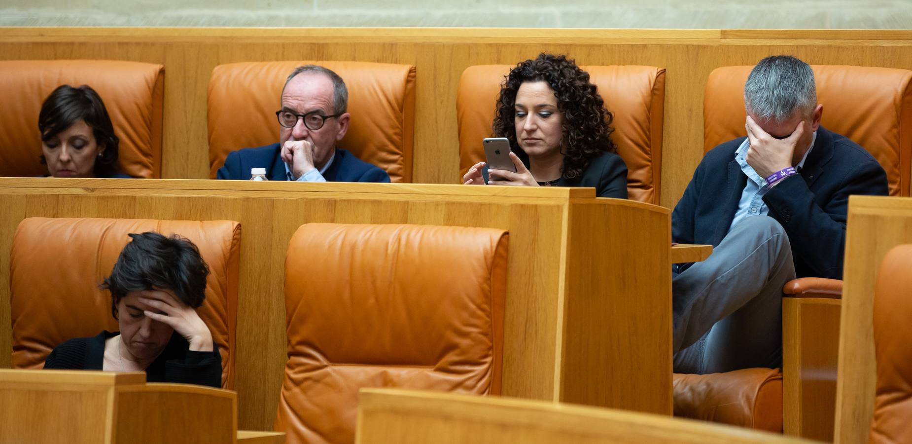 El Pleno del Parlamento aprueba la ILP de protección a los animales