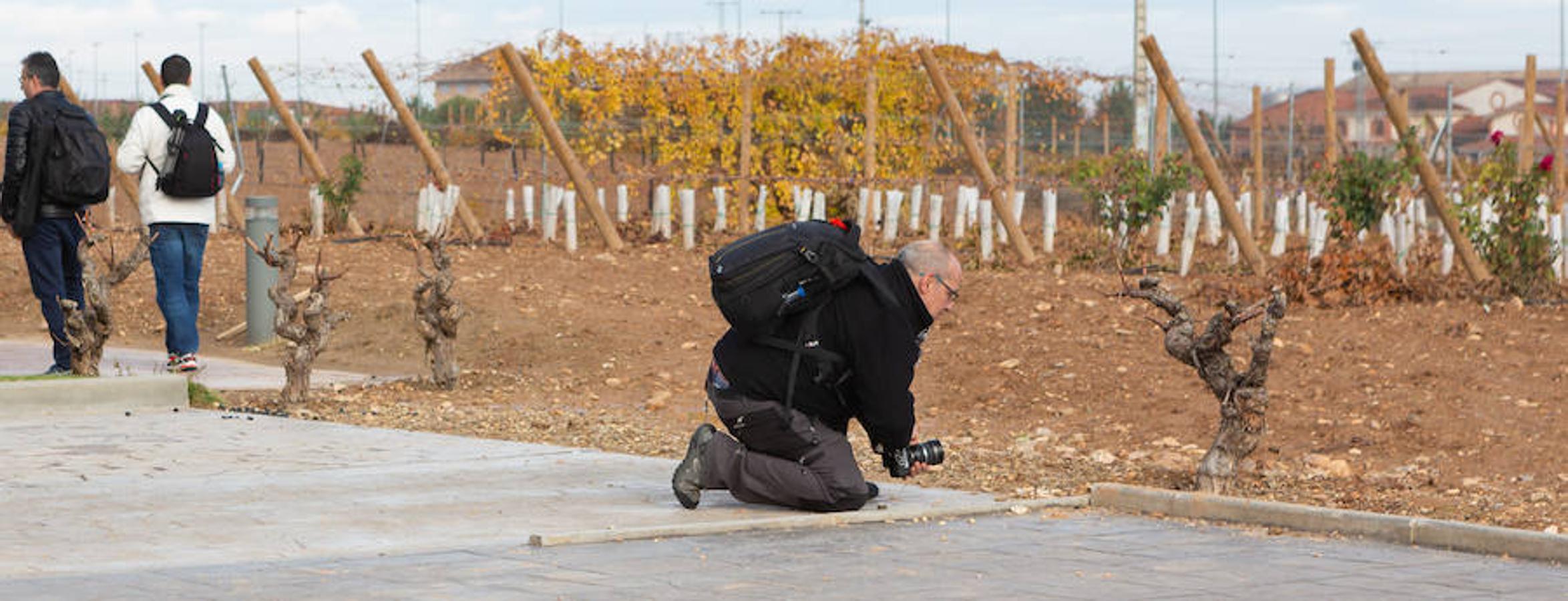 El sol y el buen tiempo se aliaron para hacer «la fotografía perfecta» en el VIII Rally Fotográfico del Rioja, que ayer reunió a 95 participantes y recorrió rincones y bodegas de Aldeanueva, Azagra y Navarrete