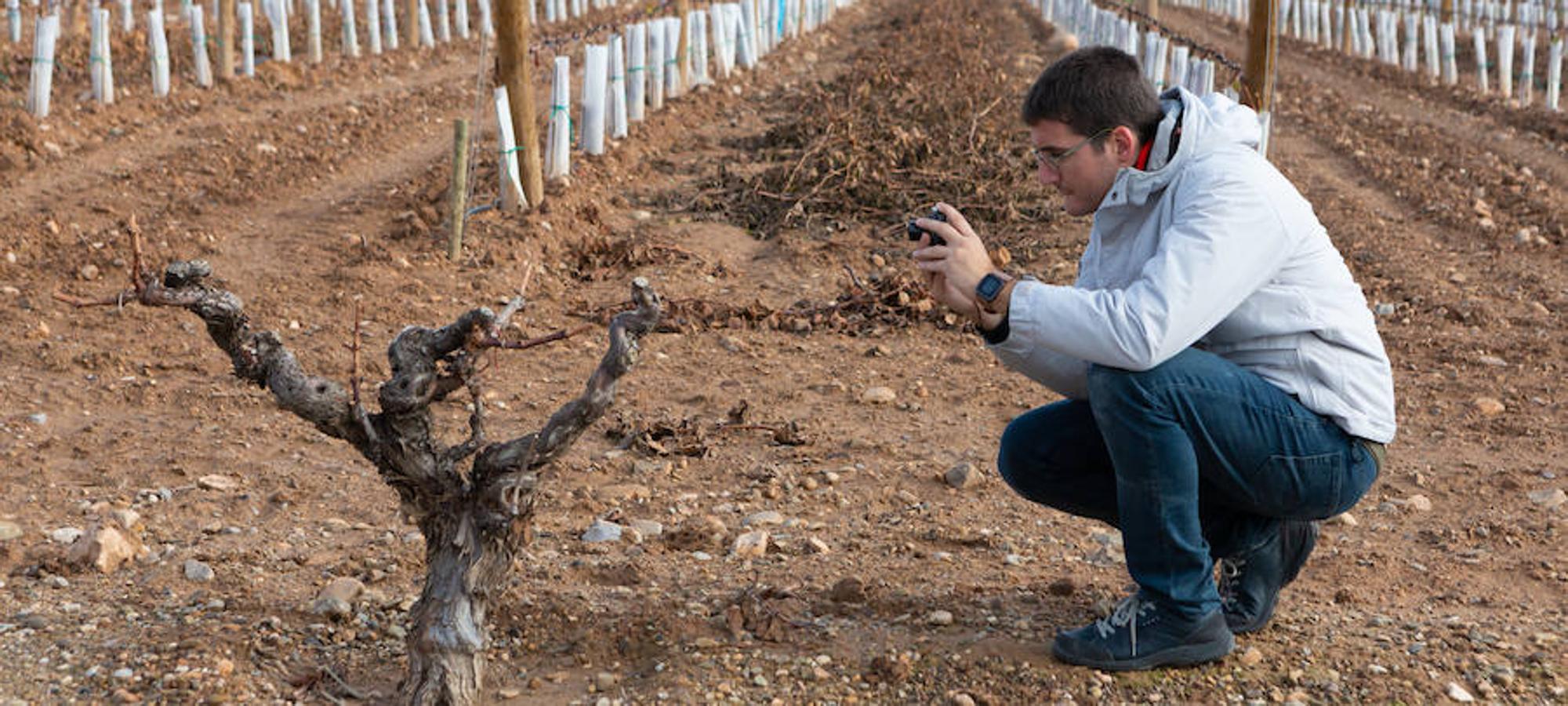 El sol y el buen tiempo se aliaron para hacer «la fotografía perfecta» en el VIII Rally Fotográfico del Rioja, que ayer reunió a 95 participantes y recorrió rincones y bodegas de Aldeanueva, Azagra y Navarrete