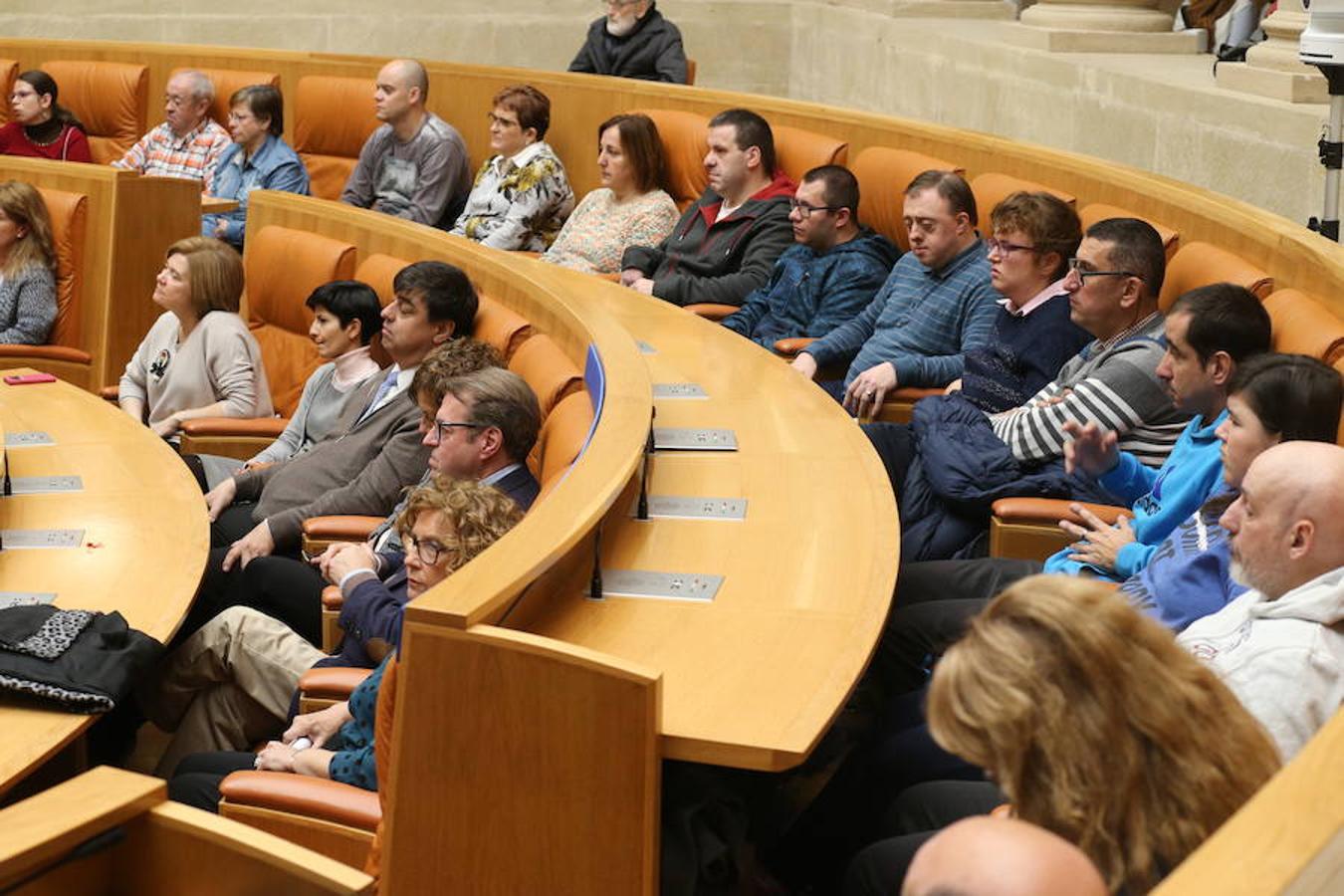 El Parlamento de La Rioja ha acogido el acto conmemorativo del Día Europeo e Internacional de las Personas con Discapacidad, organizado por el Comité Español de Representantes de Personas con Discapacidad (CERMI) en La Rioja. Parlamento.