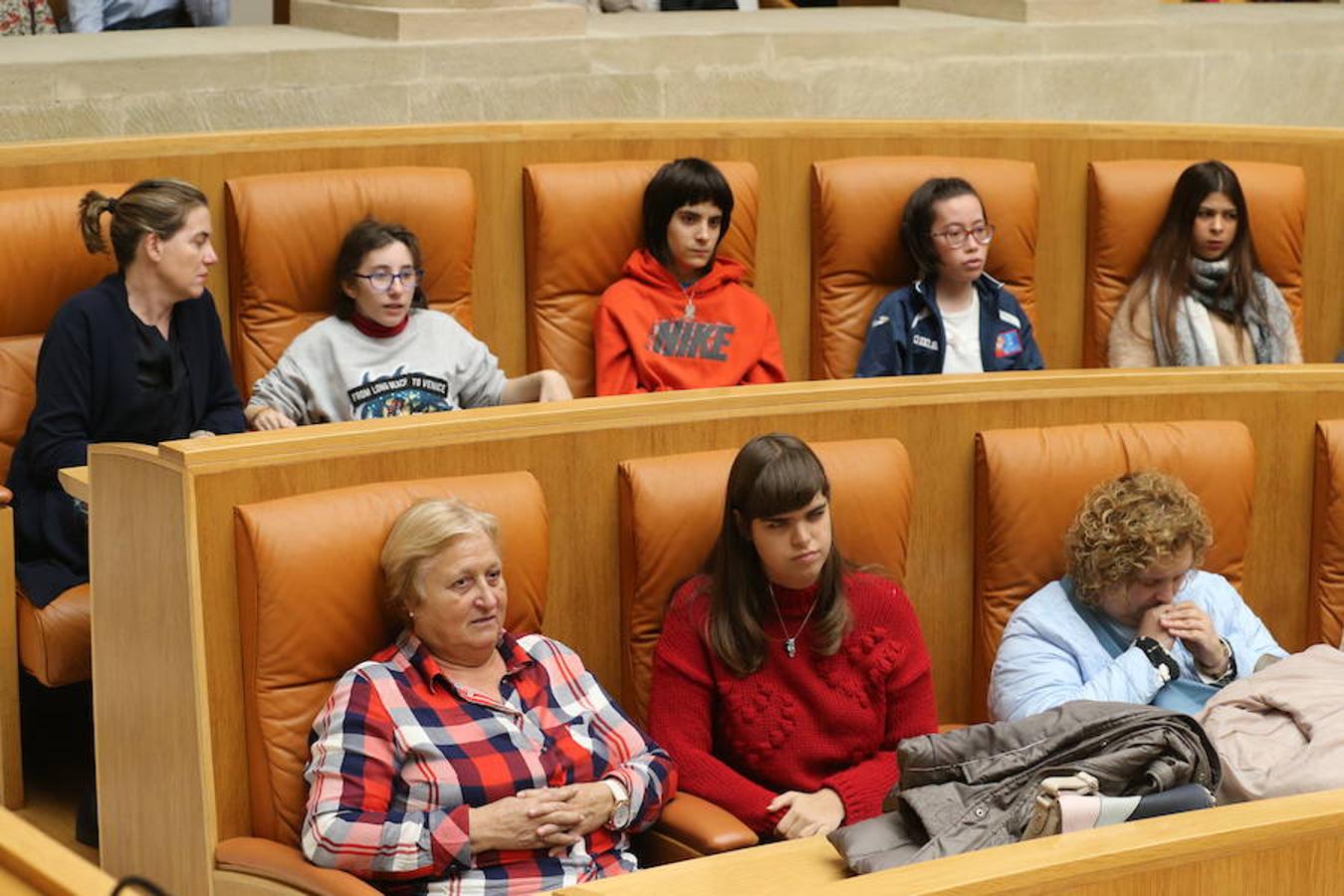 El Parlamento de La Rioja ha acogido el acto conmemorativo del Día Europeo e Internacional de las Personas con Discapacidad, organizado por el Comité Español de Representantes de Personas con Discapacidad (CERMI) en La Rioja. Parlamento.