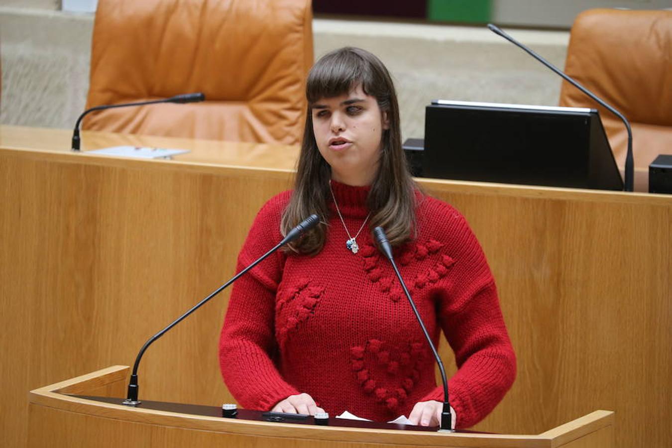 El Parlamento de La Rioja ha acogido el acto conmemorativo del Día Europeo e Internacional de las Personas con Discapacidad, organizado por el Comité Español de Representantes de Personas con Discapacidad (CERMI) en La Rioja. Parlamento.