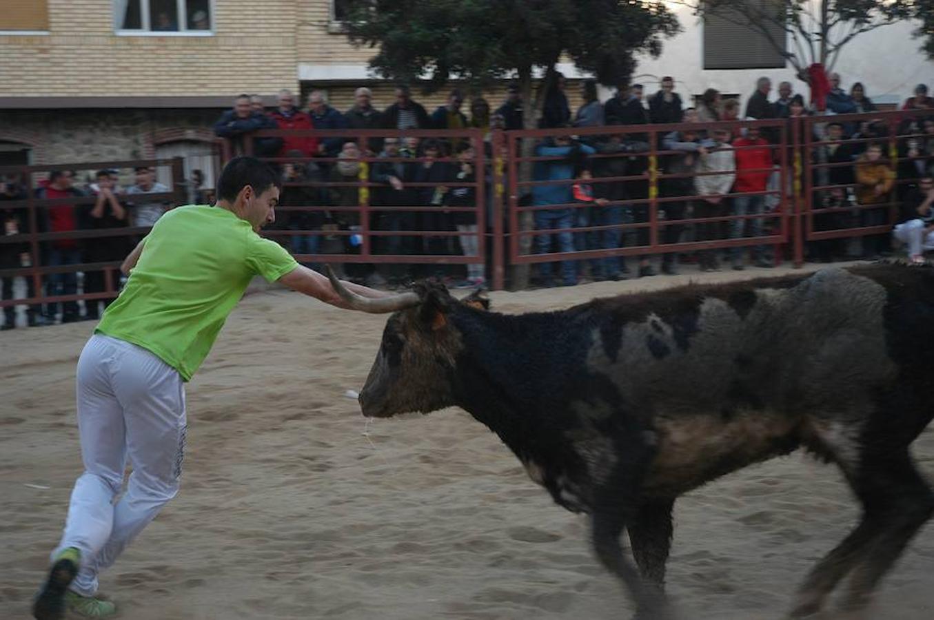 Rincón de Olivedo ha celebrado sus Fiestas de la Juventud con una exhibición de anillas que estuvo muy concurrida.