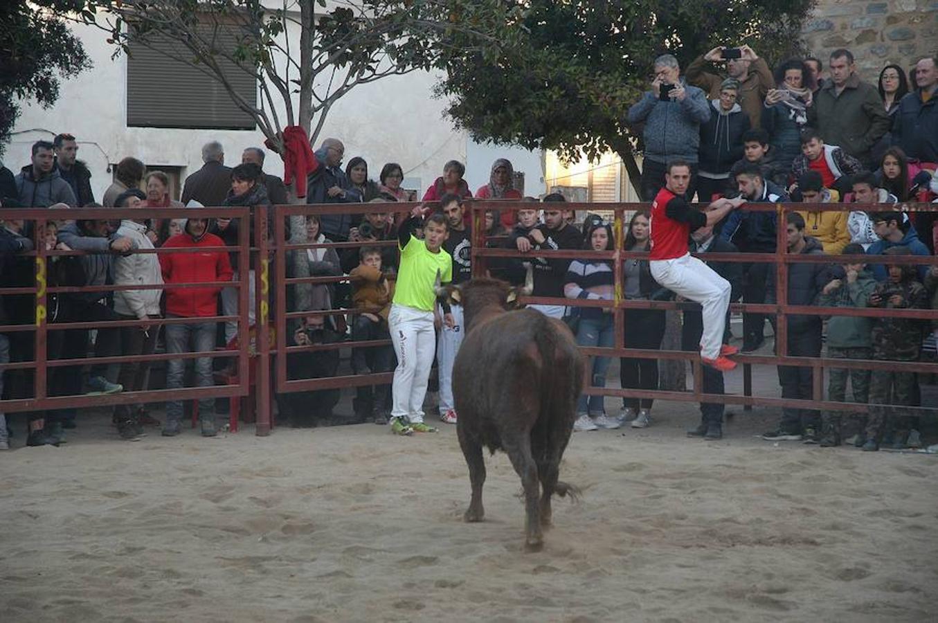 Rincón de Olivedo ha celebrado sus Fiestas de la Juventud con una exhibición de anillas que estuvo muy concurrida.